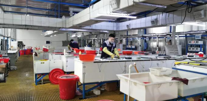 ZHENGZHOU JINCHUAN ABRASIVES CO., LTD. फैक्टरी यात्रा